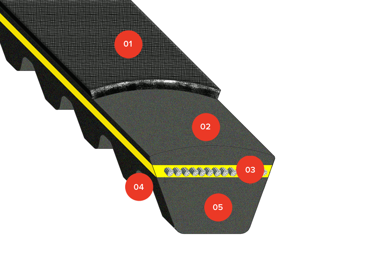 V-belts Rubber Raw Edge LINEA-GOLD